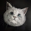3D multi-layer glass pet portrait of a grey cat with blue eyes, carved on transparent panes with realistic fur details.