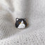 Black cat magnetic plaster portrait – detailed 3D head