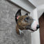 Custom magnetic plaster dog sculpture – handmade 3D pet memorial with wood frame