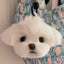 Custom twist yarn stick head of a white dog with round eyes, used as a bag charm