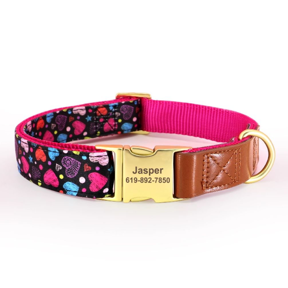 Black dog collar with colorful heart patterns and engraved gold metal buckle.