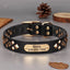 Black leather dog collar with gold pyramid studs and engraved ID tag.