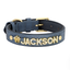 Blue rhinestone pet collar with “JACKSON” name and crown-shaped charm.