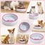 Multiple pets using customized PLA bowls with engraved names