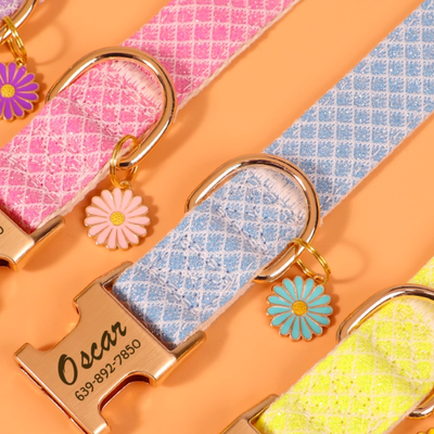 Close-up of multiple engraved nylon dog collars in pink, blue, and yellow with gold buckles and daisy charms.