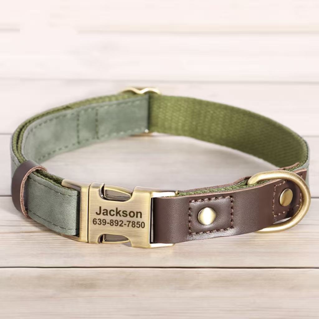 Army green custom dog collar with engraved metal buckle and brown leather trim