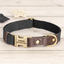 Black custom engraved dog collar with brass buckle and durable webbing