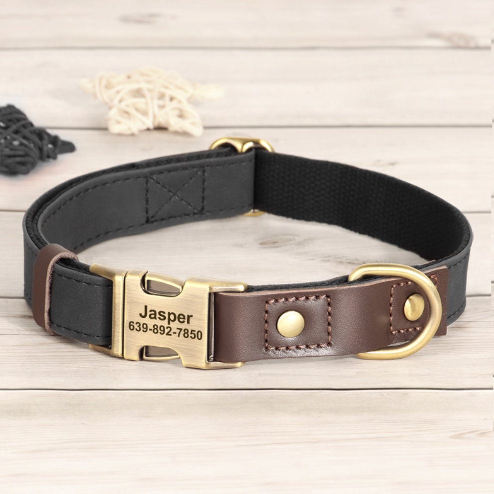 Black custom engraved dog collar with brass buckle and durable webbing