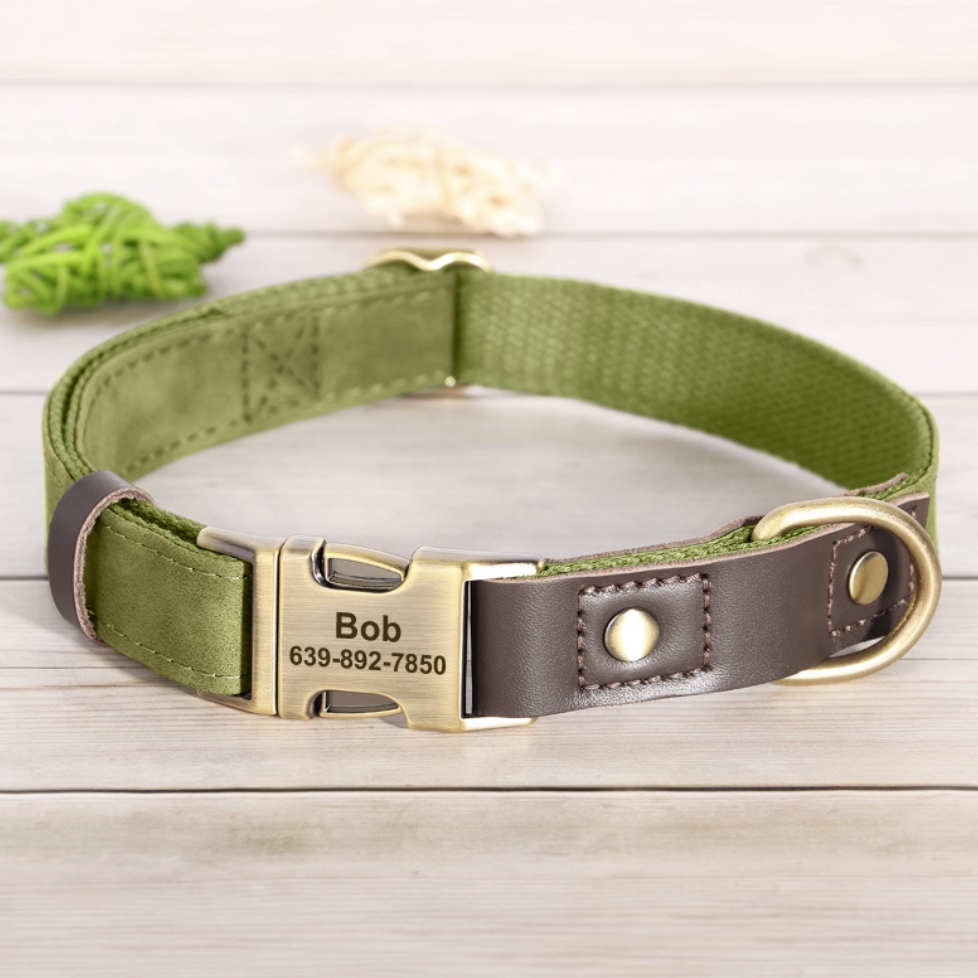 Olive green custom dog collar with engraved brass buckle, personalized with pet name and phone number
