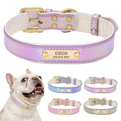 Purple gradient custom engraved dog collar with gold nameplate showing “COCO”.