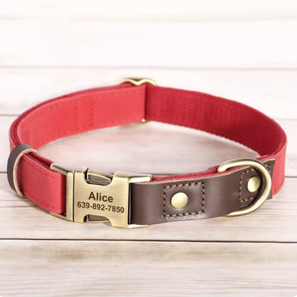 Red engraved pet collar with brass buckle and PU leather reinforcement