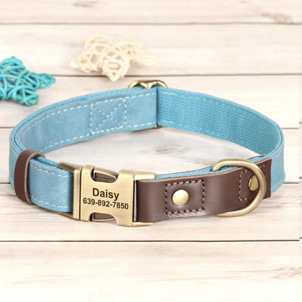 Sky blue personalized dog collar with engraved nameplate and metal buckle