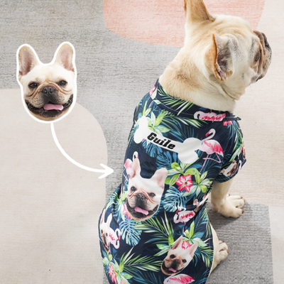 French bulldog wearing personalized Hawaiian shirt with name on back