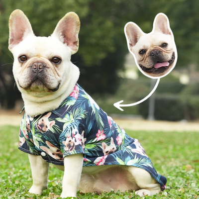 French bulldog wearing tropical custom pet face shirt outdoors