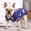 French bulldog modeling royal blue custom Hawaiian shirt indoors