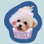 Bichon dog pillow in cupcake design