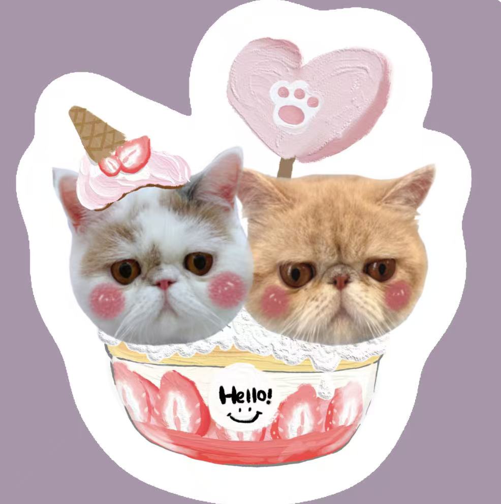 Two cat pillow in strawberry dessert bowl