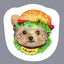 Personalized dog pillow with burger design
