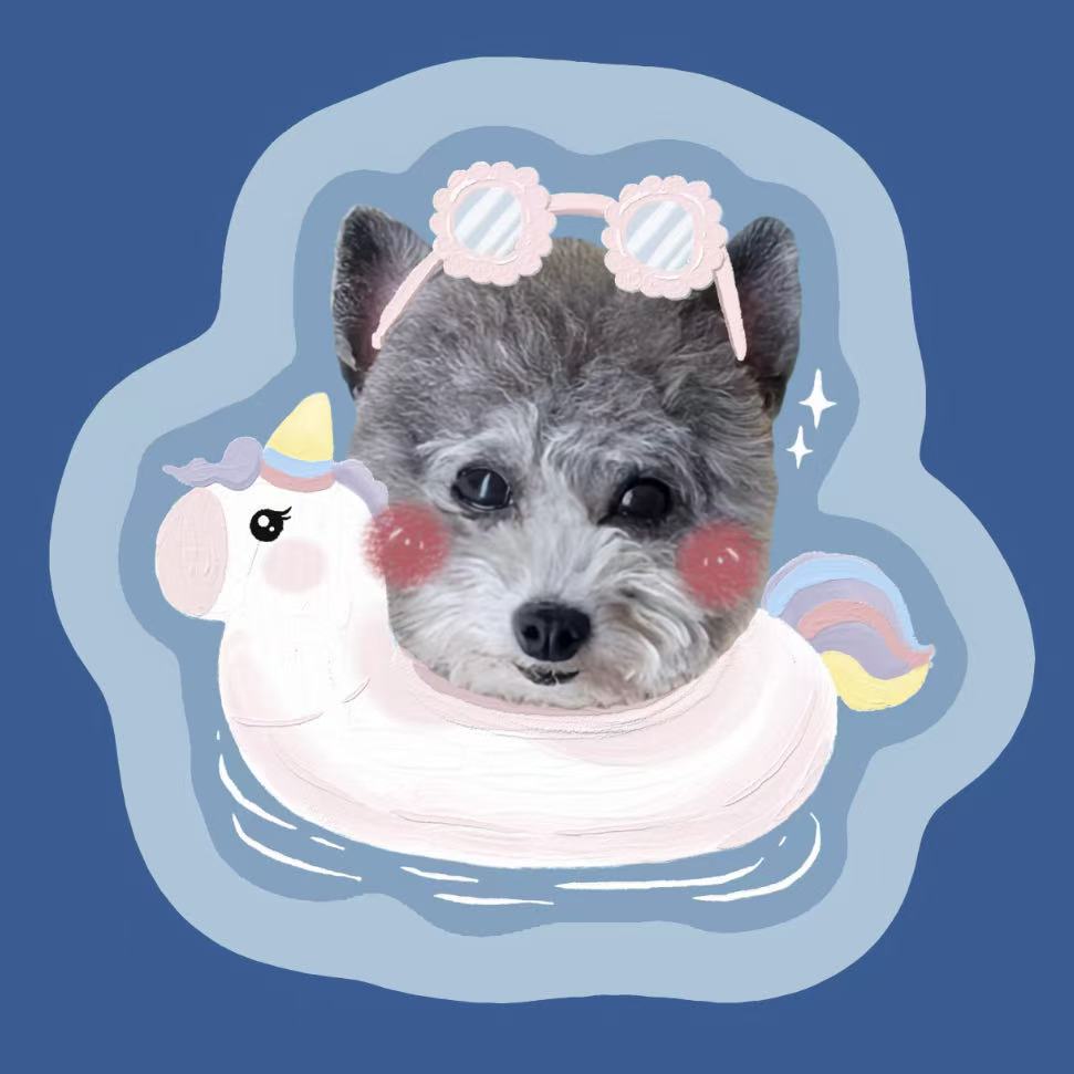 Custom dog pillow with unicorn float