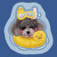 Dog pillow in yellow duck swim ring