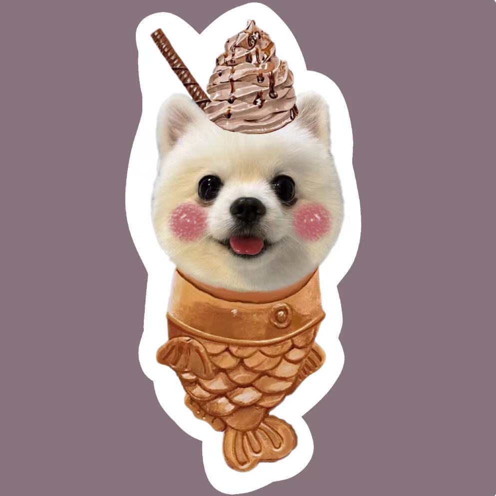 Pomeranian pillow with chocolate fish cone