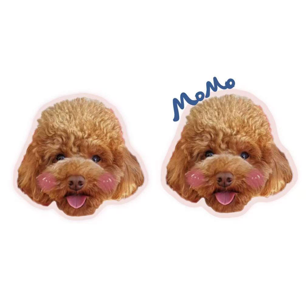 Custom pet pillow with poodle and name text