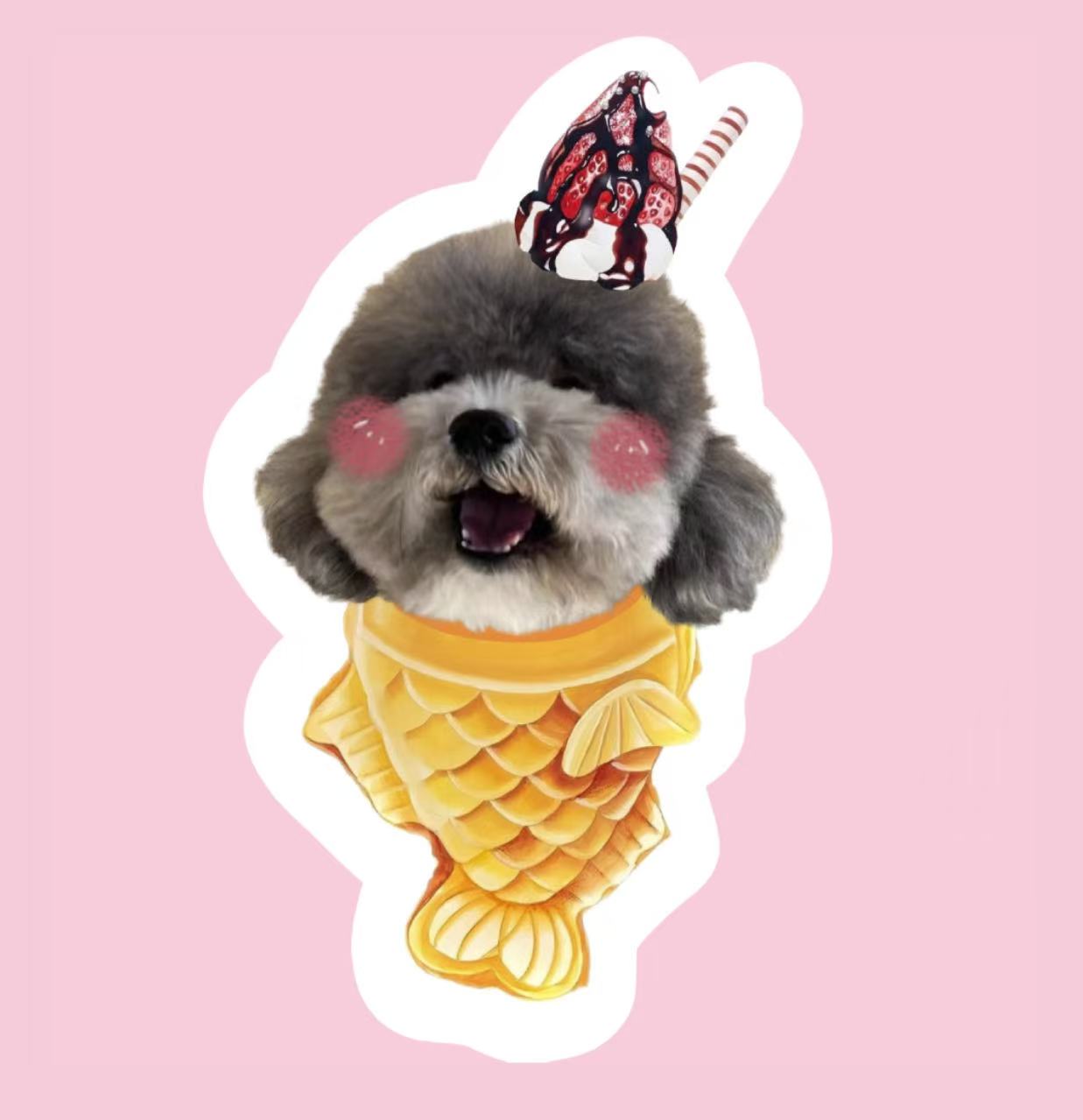 Poodle pillow with strawberry fish cone