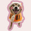 Personalized shiba inu pillow in orange hoodie