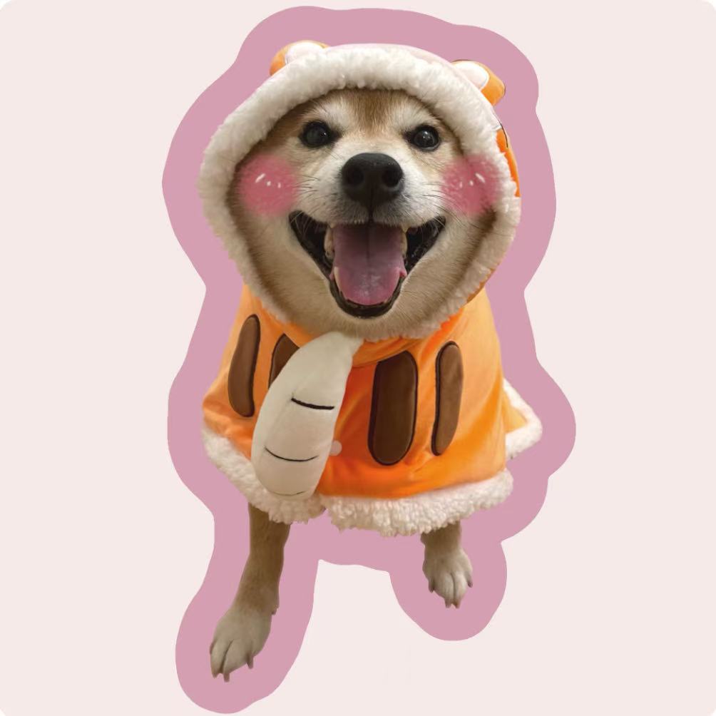 Personalized shiba inu pillow in orange hoodie