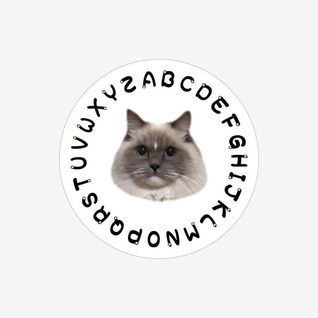 Custom pet rug with alphabet border, featuring a cat portrait printed on soft faux shearling.