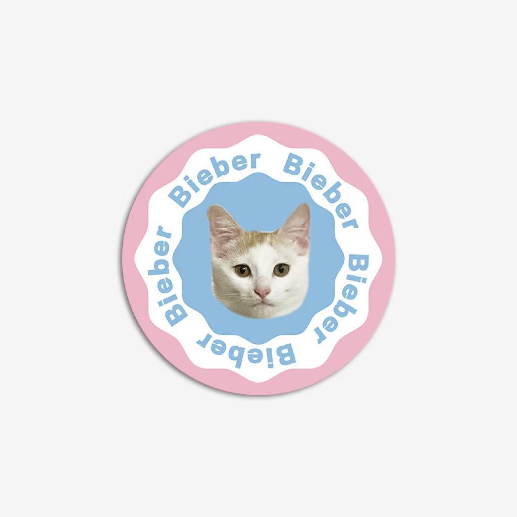 Personalized pet rug with repeating name pattern “Bieber,” pastel round faux shearling mat.