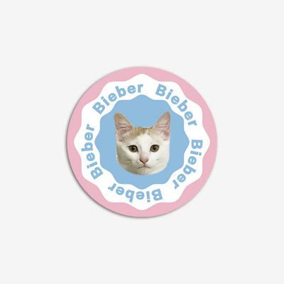Personalized pet rug with repeating name pattern “Bieber,” pastel round faux shearling mat.