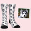 Personalized dog socks printed with a Siberian Husky puppy face and “puppy” text pattern