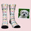 Cute pastel dog socks with hearts and love pattern