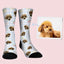 Custom socks with poodle face and blue plaid background