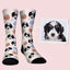 Cute puppy socks with strawberries and “Nice Day” pattern