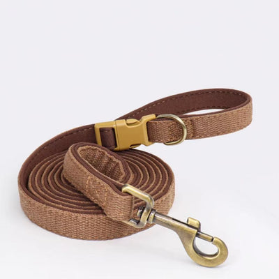 Coiled brown neoprene dog leash with antique brass clip and buckle.