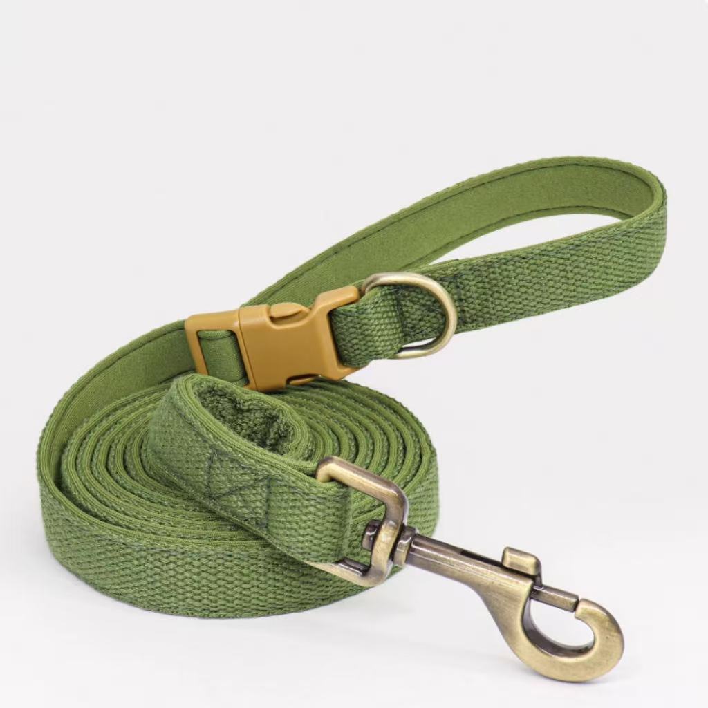 Green webbing and neoprene leash with quick-release buckle and D-ring.