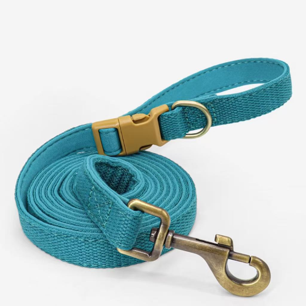 Teal neoprene dog leash featuring strong stitching and metal hardware.