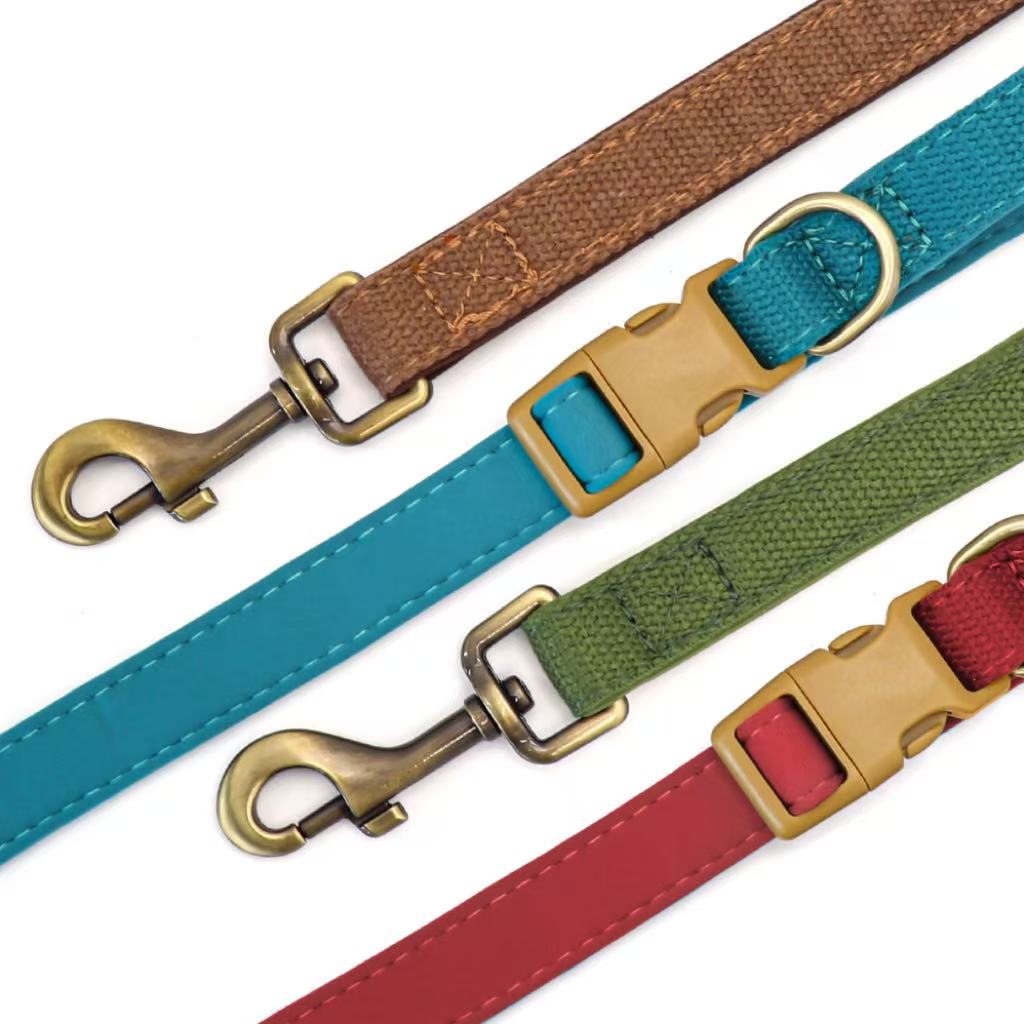 Four-color webbing and neoprene dog leashes with brass clips and buckles.