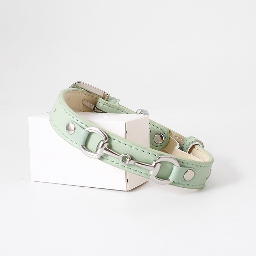 Mint green horsebit style leather dog collar with silver hardware