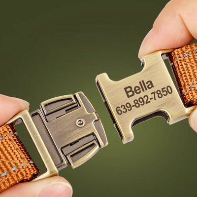 Close-up of engraved metal buckle with pet name and phone number on dog harness.