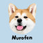 Custom Pet Digital Avatar From Your Pet Photo Simple corgi portrait name Nurofen blue background