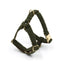 Olive green fleece dog harness with custom engraved gold buckle