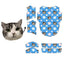 Blue floral background cat shirt pattern design layout