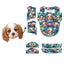 Cavalier King Charles Spaniel face tropical pattern with flamingos and white flowers on dark blue background