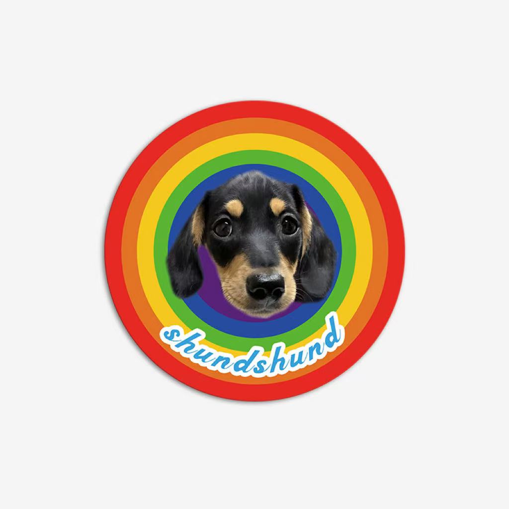 Personalized dachshund rug with rainbow background and name text, round faux shearling mat.