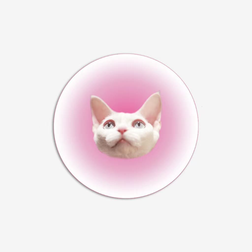 Minimalist pink gradient cat face rug, printed on faux shearling for a cozy aesthetic.