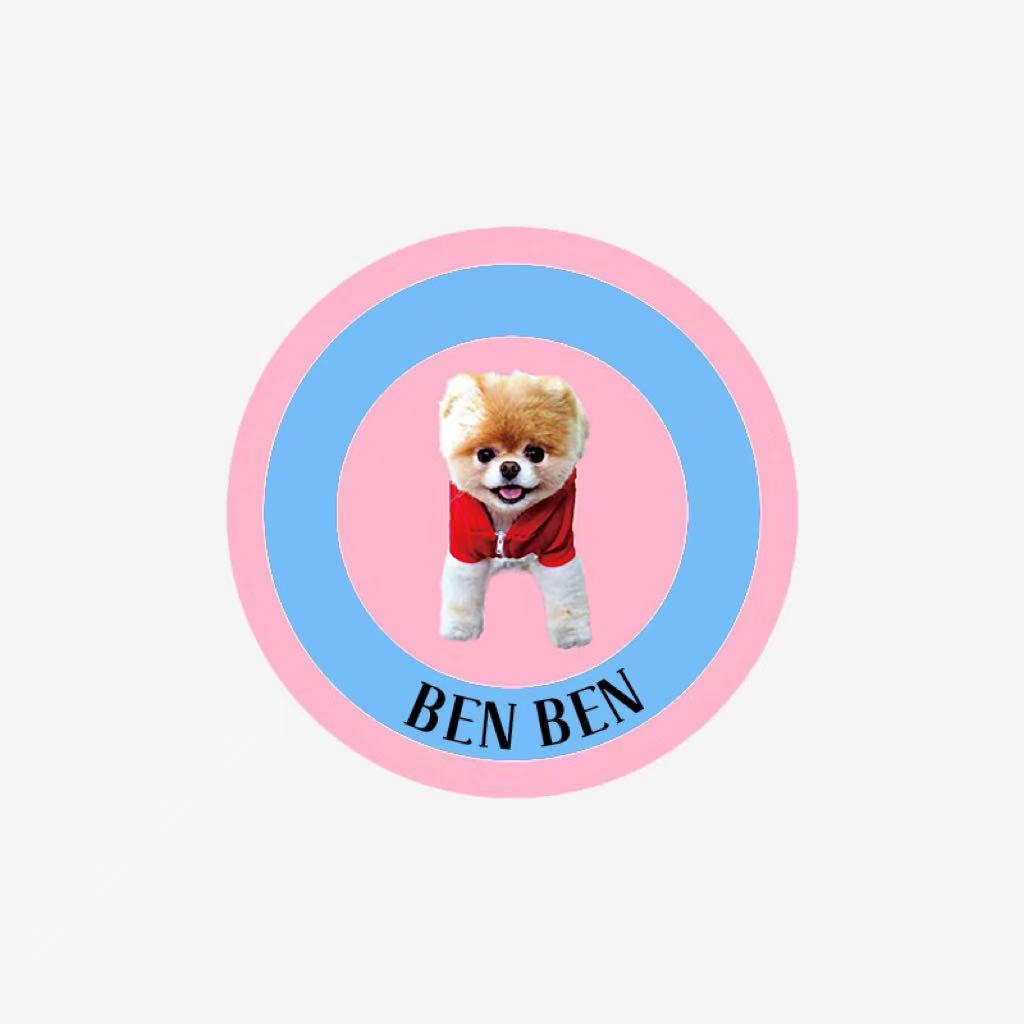 Custom Pomeranian rug with name “BEN BEN,” round faux shearling carpet in pink and blue.