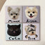 Custom Pet Digital Avatar From Your Pet Photo Deluxe four tile sample two cats two dogs with name plates